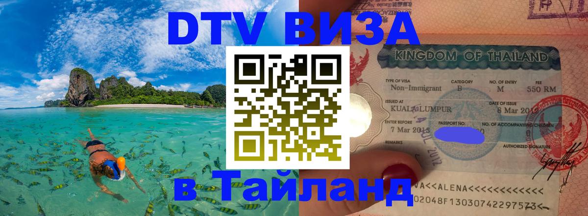 Оформление DTV визы под ключ: стоимость и тарифы, только загранпаспорт - Пушкино 